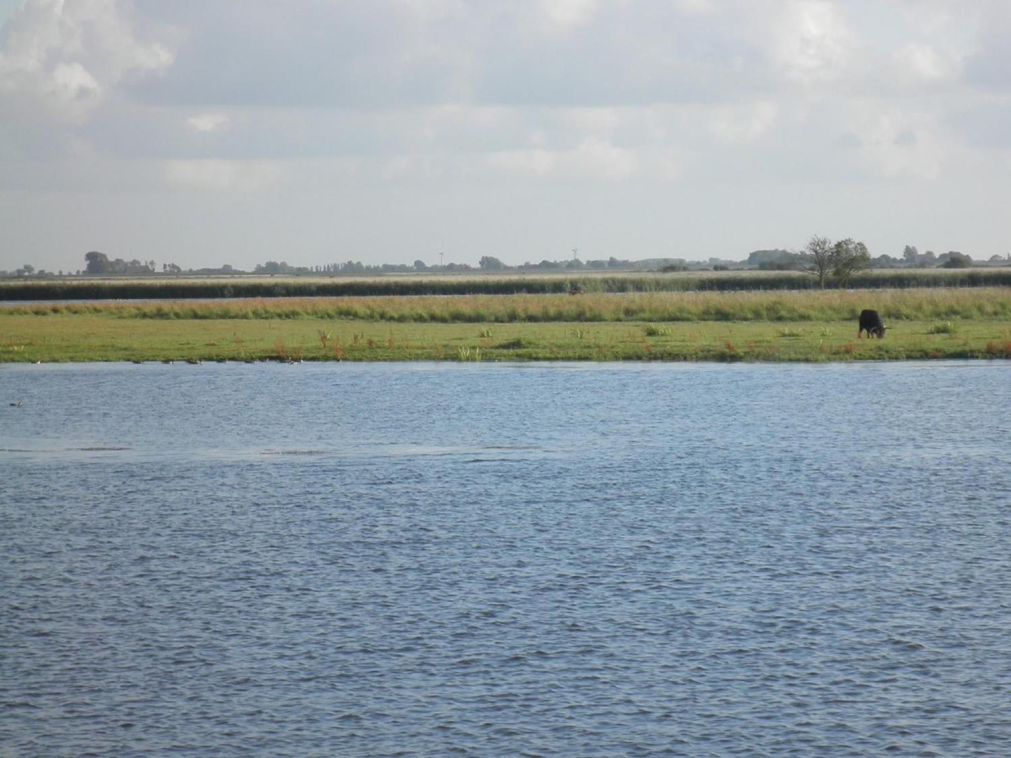 Leonie 6 Pers Holiday Home With A Large Garden Close To The Lauwersmeer Anjum Exterior foto